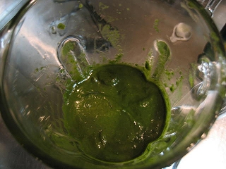 Basil Paste２