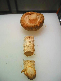 椎茸のポタージュの作り方２